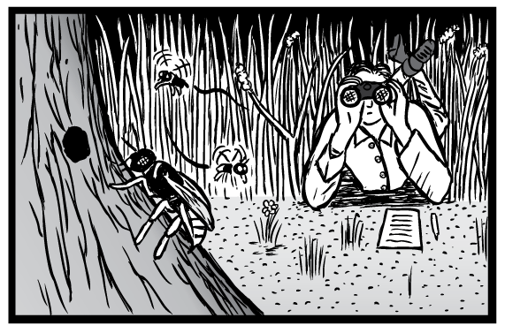 Supernormal Stimuli cartoon of Niko Tinbergen scientist looking into binoculars at insects