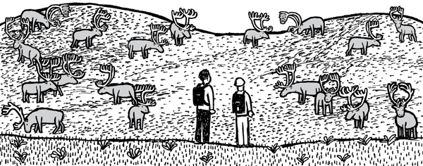 Researchers looking at many cartoon reindeer grazing. St Matthew Island comic by Stuart McMillen.