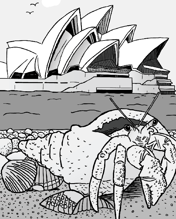 Cartoon hermit crab in shell in front of Sydney Opera House. Black and white drawing.