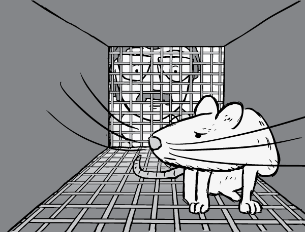 Cartoon Barry Beyerstein glasses moustache looks into Rat Park cage.