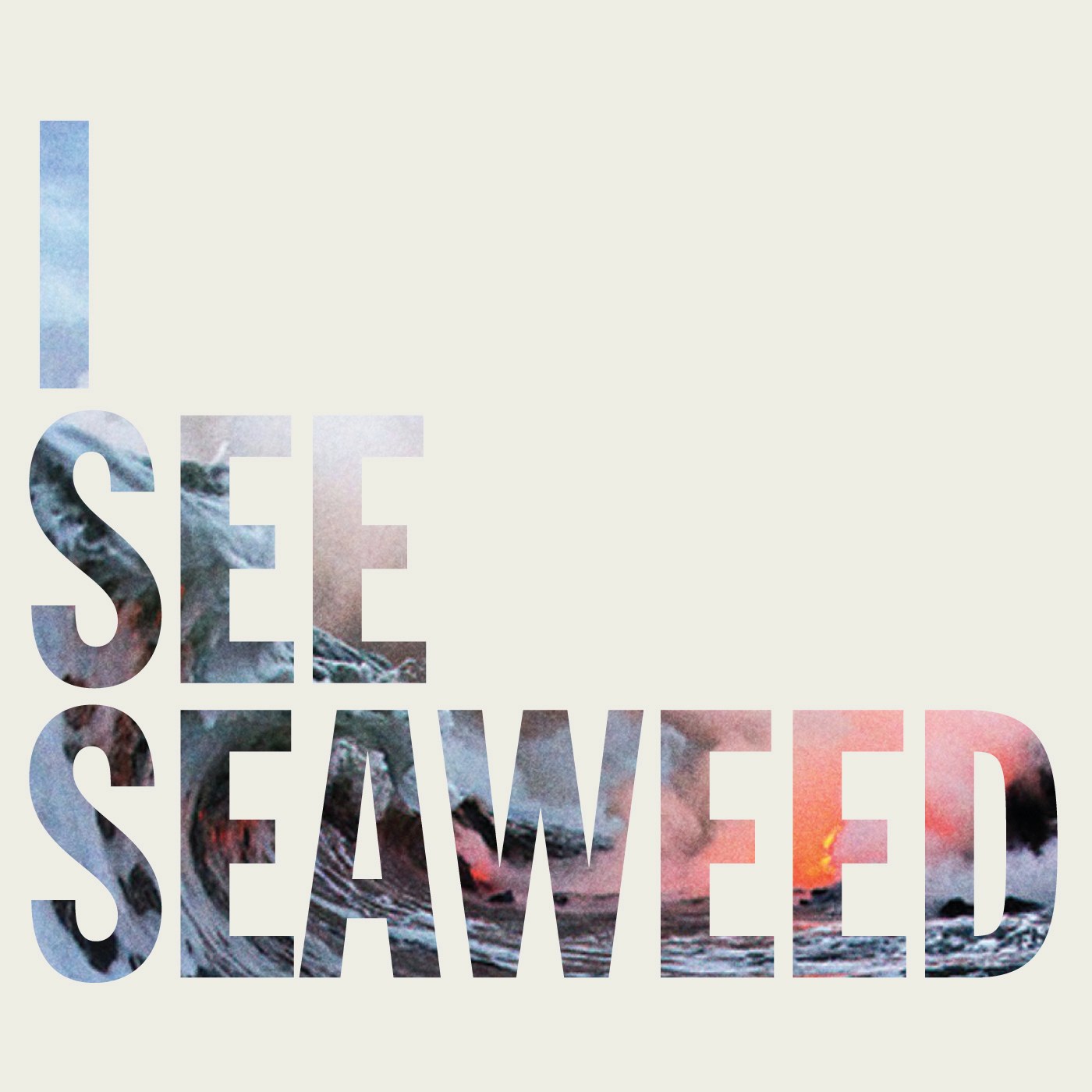 Some thoughts about I See Seaweed by The Drones - by 