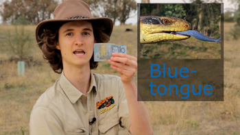 Holding an Australian $10 note - a Blue-tongue. Aussie nickname for Australian currency money because of the blue colour.