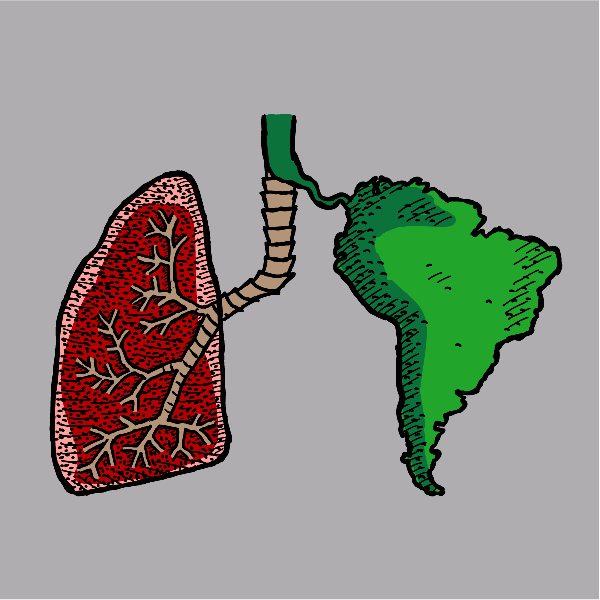 T-shirt graphic: Lungs of the Earth. Cartoon Lung with South America.