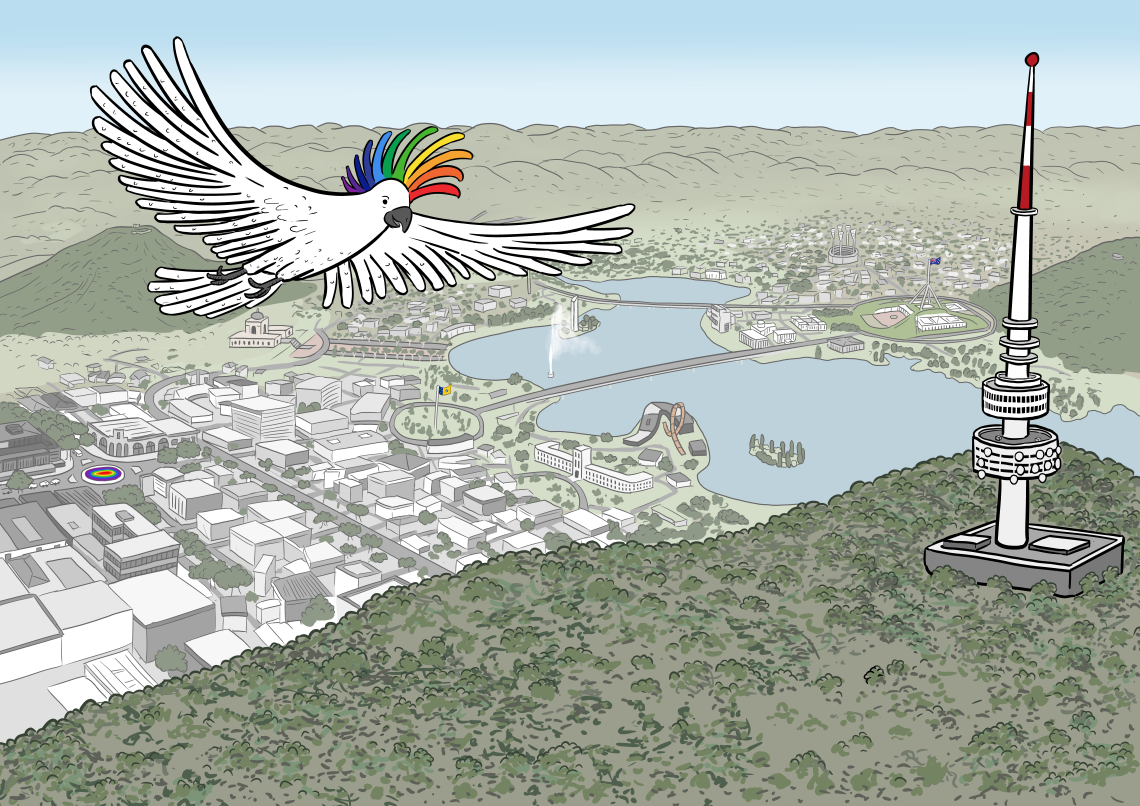 Rainbow-crested cockatoo flying above bird's eye view drawing of Canberra, Australia featuring Black Mountain Tower and Lake Burley Griffin aerial drawing