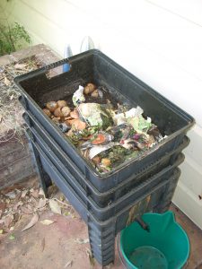 Stuart's worm farm - top tray