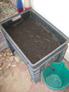 Stuart's worm farm - bottom tray
