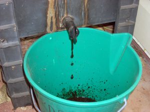 Stuart's worm farm - draining the worm tea into a bucket