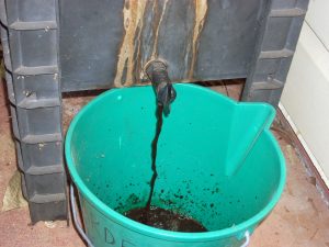 Stuart's worm farm - draining the worm tea into a bucket