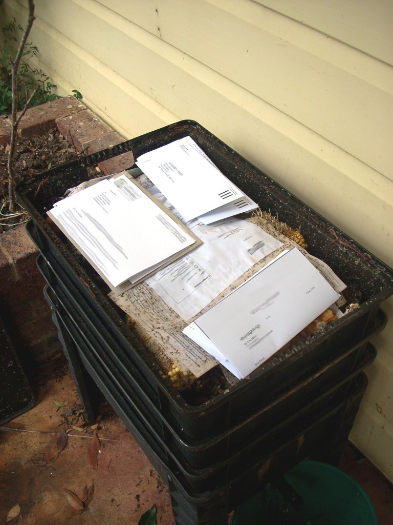Stuart's worm farm with envelopes and letters for document destruction
