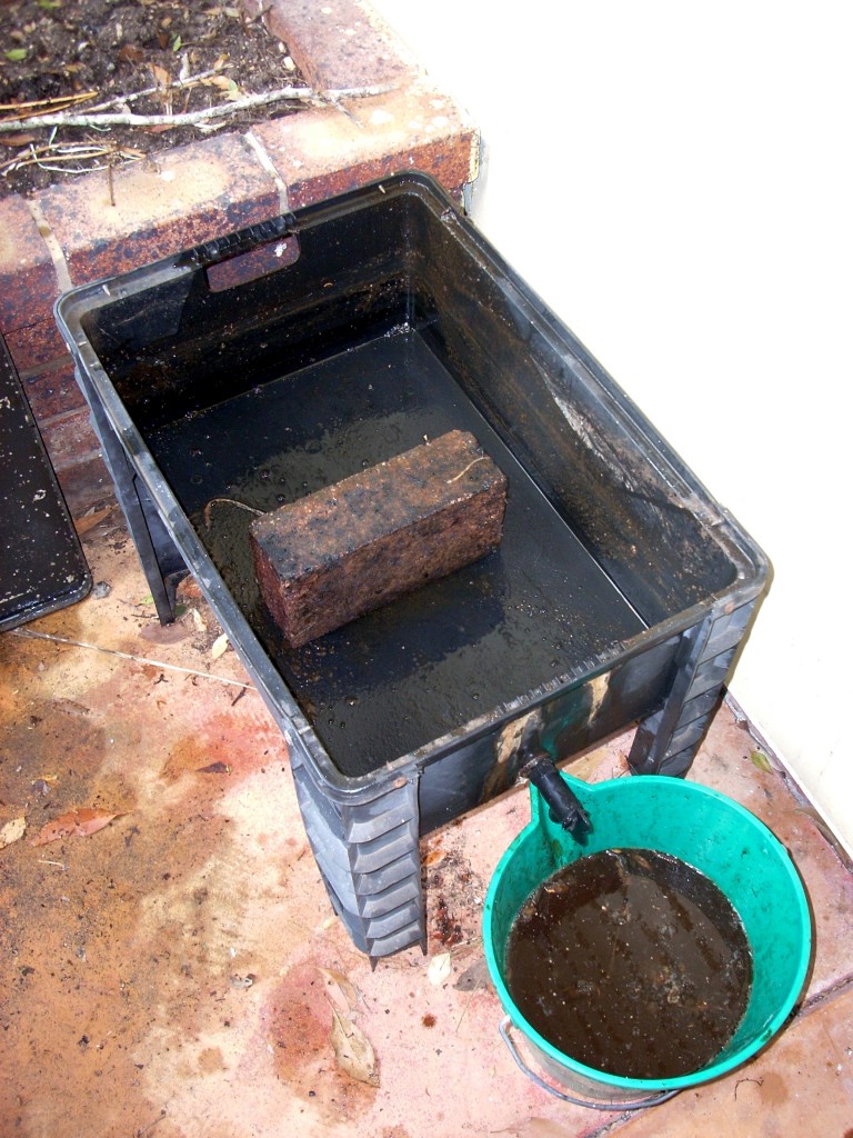 Stuart's worm farm with brick in bottom tray