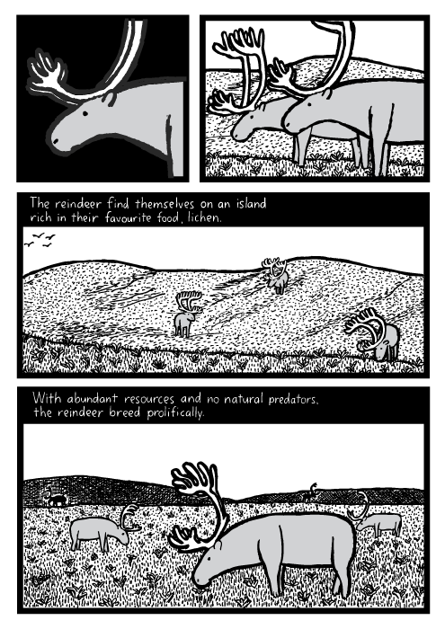 Reindeer grazing cartoon. Grass hills field drawing. The reindeer find themselves on an island rich in their favourite food, lichen. With abundant resources and no natural predators the reindeer breed prolifically.