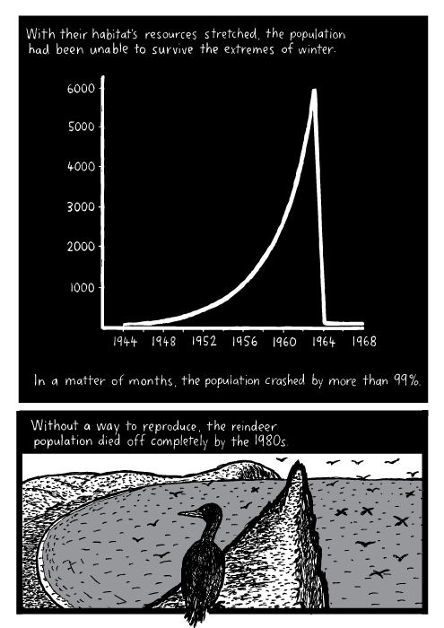 Graph. Seabird ocean cartoon. With their habitat's resources stretched, the population had been unable to survive the extremes of winter. In a matter of months, the population crashed by more than 99%. Without a way to reproduce, the reindeer population died off completely by the 1980s.