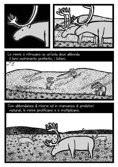 Renne pascolano sull'erba. Disegno di campi erbosi. Le renne si ritrovano su un’isola dove abbonda il loro nutrimento preferito, i licheni. Con abbondanza di risorse ed in mancanza di predatori naturali, le renne prolificano e si moltiplicano.