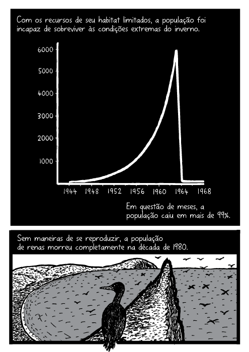 Quadrinhos, cartoon. Em questão de meses, a população caiu em mais de 99%. Sem maneiras de se reproduzir, a população de renas morreu completamente na década de 1980. Os inexplorados recursos naturais da ilha se tornaram a fonte de prosperidade das renas, assim como as sementes de sua morte.