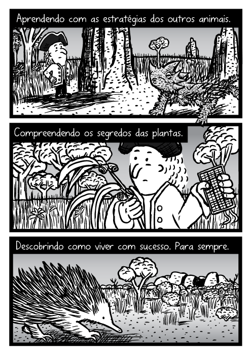 Aprendendo com as estratégias dos outros animais. Compreendendo os segredos das plantas. Descobrindo como viver com sucesso. Para sempre.