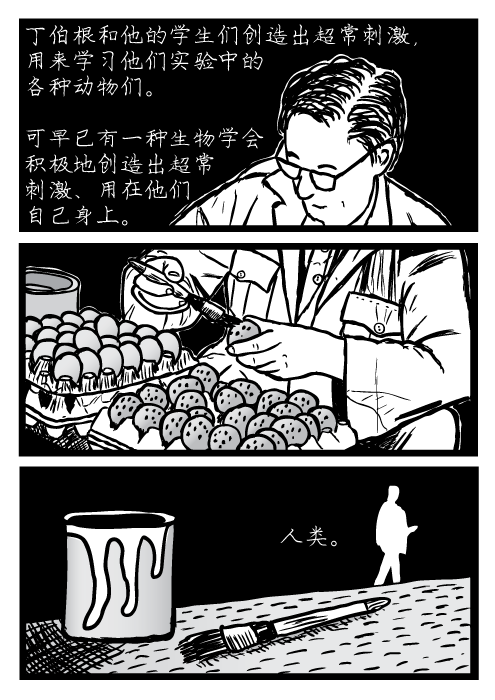 尼可拉斯·丁伯根，庭伯根，丁伯根和他的学生们创造出超常刺激, 用来学习他们实验中的 各种动物们。可早已有一种生物学会 积极地创造出超常 刺激、用在他们 自己身上。人类。