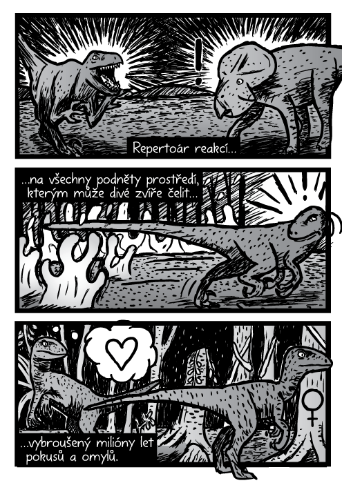 Velociraptoři dinosauři kresba komiks. Repertoár reakcí na všechny podněty prostředí, kterým může divé zvíře čelit, vybroušený milióny let pokusů a omylů.