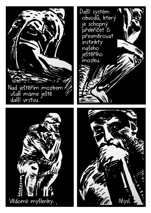 Socha Myslitel komiks. Auguste Rodin kresba. Nad ještěřím mozkem však máme ještě další vrstvu. Další systém obvodů, který je schopný překřičet či přesměrovat instinkty našeho ještěřího mozku. Vědomé myšlenky. Mysl.