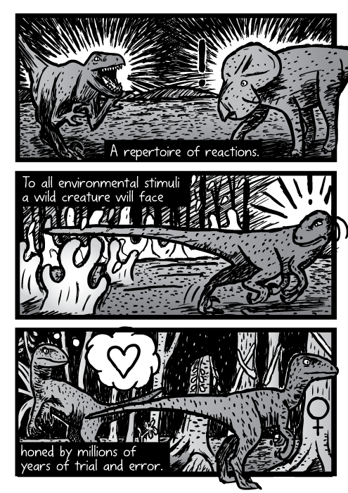 Velociraptors raptors dinosaurs drawing cartoon. A repertoire of reactions. To all environmental stimuli a wild creature will face honed by millions of years of trial and error.