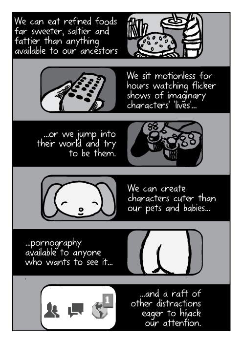 We can eat refined foods far sweeter, saltier and fattier than anything available to our ancestors We sit motionless for hours watching flicker shows of imaginary characters' 'lives'... ...or we jump into their world and try to be them. We can create characters cuter than our pets and babies... ...pornography available to anyone who wants to see it... ...and a raft of other distractions eager to hijack our attention.