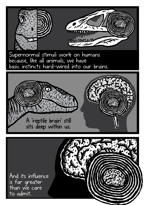 Velociraptor raptor dinosaur skull brain human silhouette drawing cartoon. Supernormal stimuli work on humans because, like all animals, we have basic instincts hard-wired into our brains. A 'reptile brain' still sits deep within us. And its influence is far greater than we care to admit.