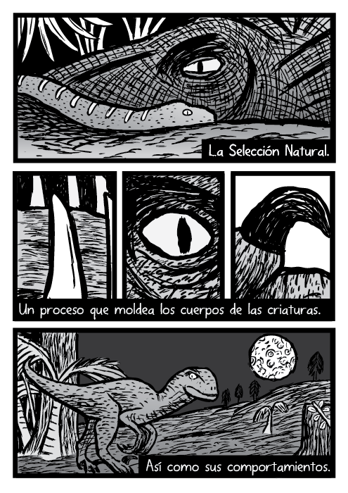 La Selección Natural. Un proceso que moldea los cuerpos de las criaturas. Así como sus comportamientos. Velociraptor raptor dinosaurio dientes ojo garra ilustración caricatura.