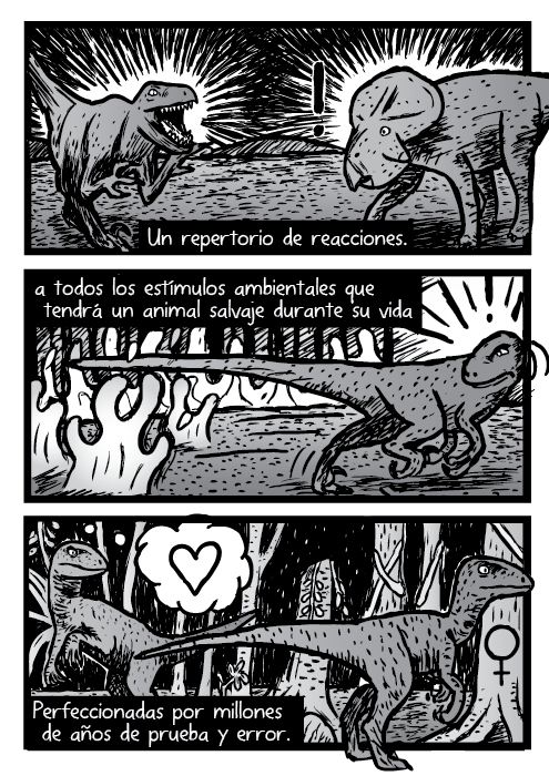 Un repertorio de reacciones, a todos los estímulos ambientales que tendrá un animal salvaje durante su vida. Perfeccionadas por millones de años de prueba y error. Velociraptores raptores dinosaurios ilustración caricatura.