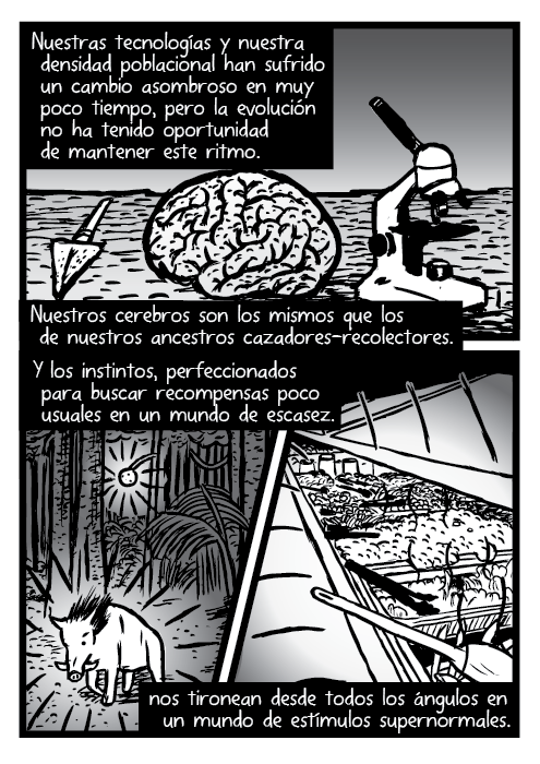 Nuestras tecnologías y nuestra densidad poblacional han sufrido un cambio asombroso en muy poco tiempo, pero la evolución no ha tenido oportunidad de mantener este ritmo. Nuestros cerebros son los mismos que los de nuestros ancestros cazadores-recolectores. Y los instintos, perfeccionados para buscar recompensas poco usuales en un mundo de escasez. nos tironean desde todos los ángulos en un mundo de estímulos supernormales. Lanza cerebro microscopio historieta. Jabalí bosque ensalada bar buffet ilustración.