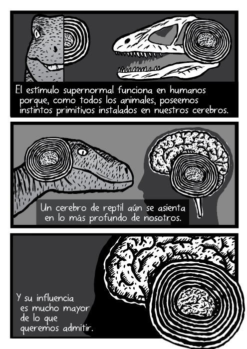 El estímulo supernormal funciona en humanos porque, como todos los animales, poseemos instintos primitivos instalados en nuestros cerebros. Un cerebro de reptil aún se asienta en lo más profundo de nosotros. Y su influencia es mucho mayor de lo que queremos admitir. Velociraptor raptor dinosaurio cráneo cerebro silueta humana ilustración caricatura.