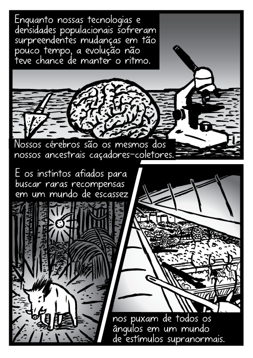 Enquanto nossas tecnologias e densidades populacionais sofreram surpreendentes mudanças em tão pouco tempo, a evolução não teve chance de manter o ritmo. Nossos cérebros são os mesmos dos nossos ancestrais caçadores-coletores. E os instintos afiados para buscar raras recompensas em um mundo de escassez nos puxam de todos os ângulos em um mundo de estímulos supranormais.