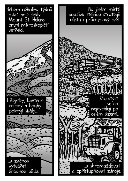 Mount St. Helens komiks. Kamion kresba. Během několika týdnů osídlí holé skály Mount St. Helens první mikroskopičtí vetřelci. Lišejníky, bakterie, mechy a houby pokryjí skály…a začnou vytvářet úrodnou půdu. Na jiném místě používá stejnou strategii růstu i průmyslový svět. Rozptýlit se co nejrychleji po celém území…a shromažďovat a zpřístupňovat zdroje.