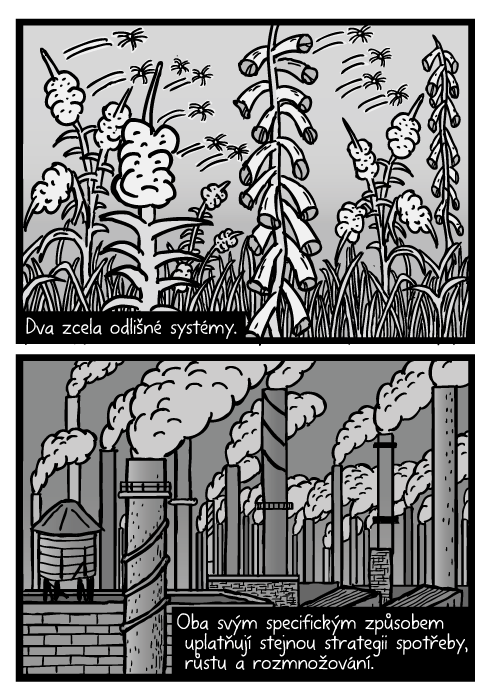 Plevel semínka komiks. Létající semínka vrbovka kresba. Průmysl tovární komíny kouř. Dva zcela odlišné systémy. Oba svým specifickým způsobem uplatňují stejnou strategii spotřeby, růstu a rozmnožování.