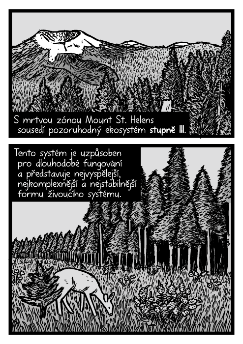 Mount St. Helens vzrostlé stromy kresba. Jedle posed borovice komiks. S mrtvou zónou Mount St. Helens sousedí pozoruhodný ekosystém stupně III. Tento systém je uzpůsoben pro dlouhodobé fungování a představuje nejvyspělejší, nejkomplexnější a nejstabilnější formu živoucího systému.