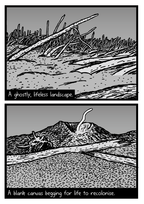 Mount St. Helens cartoon. Fallen tree trunks in volcanic ash drawing. Blowdown area. A ghostly, lifeless landscape. A blank canvas begging for life to recolonise.