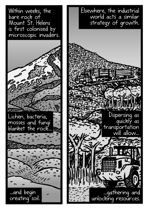 Mount St. Helens cartoon. Logging truck drawing. Within weeks, the bare rock of Mount St. Helens is first colonised by microscopic invaders. Lichen, bacteria, mosses and fungi blanket the rock...and begin creating soil. Elsewhere, the industrial world acts a similar strategy of growth. Dispersing as quickly as transportation will allow...gathering and unlocking resources.