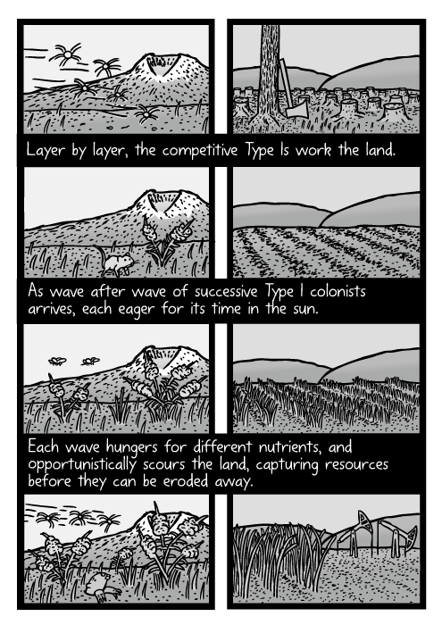 Weeds growing in field cartoon. Agriculture crop succession drawing. Layer by layer, the competitive Type Is work the land. As wave after wave of successive Type I colonists arrives, each eager for its time in the sun. Each wave hungers for different nutrients, and opportunistically scours the land, capturing resources before they can be eroded away.