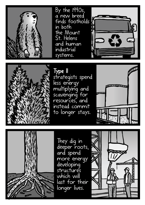 Trees, tree roots cartoon. Construction industry drawing. By the 1990s, a new breed finds footholds in both the Mount St. Helens and human industrial systems. Type II strategists spend less energy multiplying and scavenging for resources, and instead commit to longer stays. They dig in deeper roots, and spend more energy developing structures which will last for their longer lives.