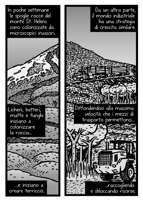 Vignetta del monte St. Helens. Disegno di tronchi di albero. In settimane le spoglie rocce del monte St. Helens sono colonizzate da microscopici invasori. Licheni, batteri, muffe e funghi iniziano a colonizzare la roccia e iniziano a creare terriccio. Da un altra parte, il mondo industriale ha una strategia di crescita similare. Diffondendosi alla massima velocità che i mezzi di trasporto permettono raccogliendo e sbloccando risorse.