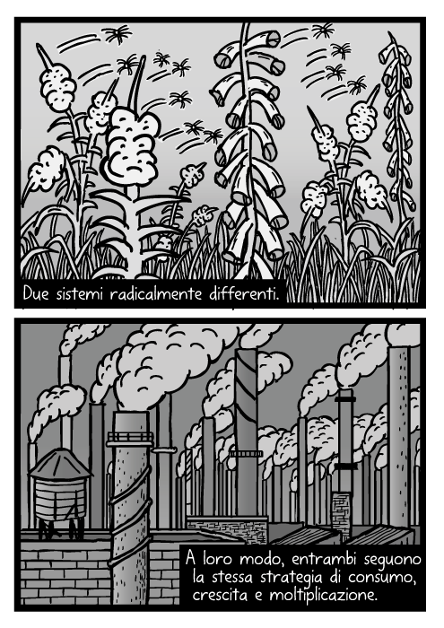 Disegno di seme di pianta. Vignetta di soffione. Fumi industriali. Due sistemi radicalmente differenti. A loro modo, entrambi seguono la stessa strategia di consumo, crescita e moltiplicazione.