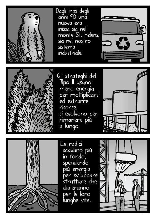 Vignetta di costruzioni industriali. Dagli inizi degli anni 90 una nuova era inizia sia nel monte St. Helens, sia nel nostro sistema industriale. Gli strateghi del Tipo II usano meno energia per moltiplicarsi ed estrarre risorse, si evolvono per rimanere più a lungo. Le radici scavano più in fondo, spendendo più energia per sviluppare strutture che ureranno per le loro lunghe vite. Disegno di alberi, radici.