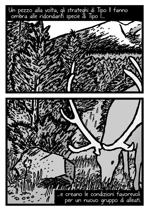 Vignetta di una giovane foresta di pini. Disegno di un alce che mangia erba. Un pezzo alla volta, gli strateghi di Tipo II fanno ombra alle ridondanti specie di Tipo I e creano le condizioni favorevoli per un nuovo gruppo di alleati.