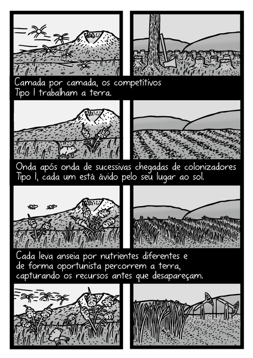 Cartum de ervas daninhas crescendo no campo. Desenho da sucessão de cultura da agricultura. Camada por camada, os competitivos Tipo I trabalham a terra. Onda após onda de sucessivas chegadas de colonizadores Tipo I, cada um está ávido pelo seu lugar ao sol. Cada leva anseia por nutrientes diferentes e de forma oportunista percorrem a terra, capturando os recursos antes que desapareçam.