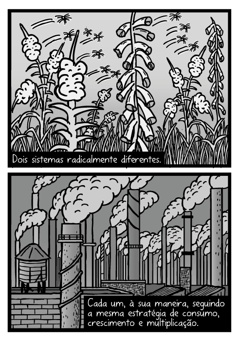 Cartum de semente de erva daninha. Desenho de sementes sendo levadas pelo vento. Fumaça de chaminés industriais. Dois sistemas radicalmente diferentes. Cada um, à sua maneira, seguindo a mesma estratégia de consumo, crescimento e multiplicação.