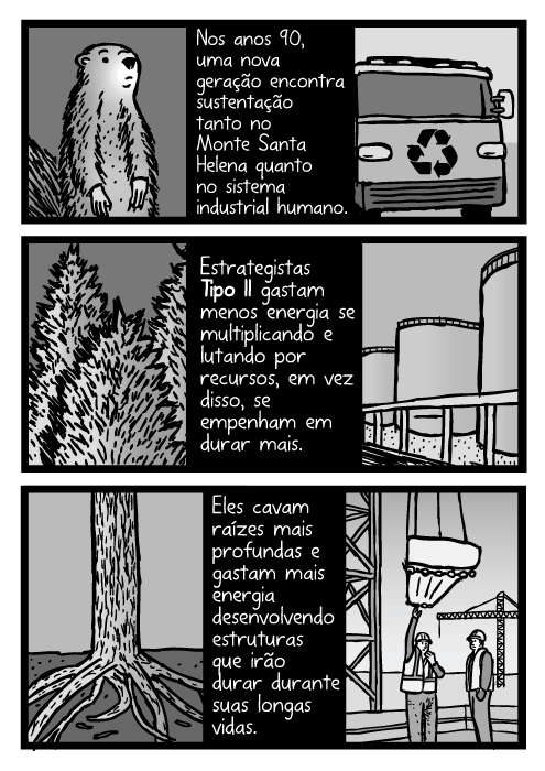 Cartum de árvores e suas raízes. Desenho de indústria de construção. Nos anos 90, uma nova geração encontra sustentação tanto no Monte Santa Helena quanto no sistema industrial humano. Estrategistas Tipo II gastam menos energia se multiplicando e lutando por recursos, em vez disso, se empenham em durar mais. Eles cavam raízes mais profundas e gastam mais energia desenvolvendo estruturas que irão durar durante suas longas vidas.