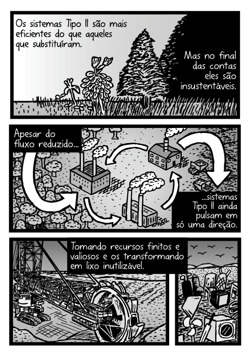 Desenho da sucessão ecológica. Cartum do ciclo de reciclagem da fábrica isomérica. Ensacador 288. Aterro sanitário. Os sistemas Tipo II são mais eficientes do que aqueles que substituíram. Mas no final das contas eles são insustentáveis. Apesar do fluxo reduzido...sistemas Tipo II ainda pulsam em só uma direção. Tomando recursos finitos e valiosos e os transformando em lixo inutilizável.