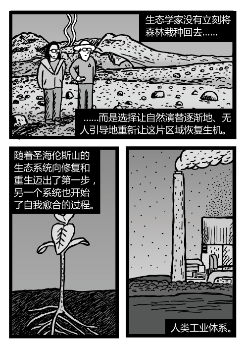 圣海伦斯山死亡区里的科学家。杂草发芽的图景。工厂烟囱的漫画。生态学家没有立刻将森林栽种回去……而是选择让自然演替逐渐地、无人引导地重新让这片区域恢复生机。随着圣海伦斯山的生态系统向修复和重生迈出了第一步，另一个系统也开始了自我愈合的过程。人类工业体系。