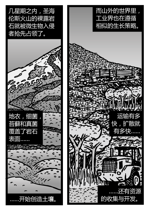 圣海伦斯山卡通。伐木卡车图片。几星期之内，圣海伦斯火山的裸露岩石就被微生物入侵者抢先占领了。地衣，细菌，苔藓和真菌覆盖了岩石表面……开始创造土壤。而山外的世界里，工业界也在遵循相似的生长策略。运输有多快，扩散就有多快……还有资源的收集与开发。