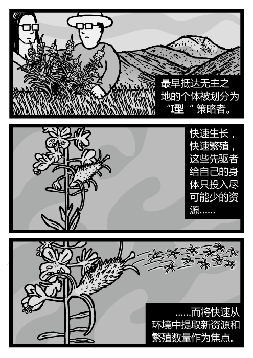 杂草种子被风吹走的画面。杂草的漫画。最早抵达无主之地的个体被划分为“I型“ 策略者。快速生长，快速繁殖，这些先驱者给自己的身体只投入尽可能少的资源……而将快速从环境中提取新资源和繁殖数量作为焦点。