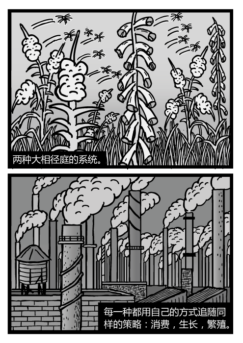 杂草种子卡通。柳兰（火生草）的种子随风飘散。工厂烟囱的黑烟。两种大相径庭的系统。每一种都用自己的方式追随同样的策略：消费，生长，繁殖。