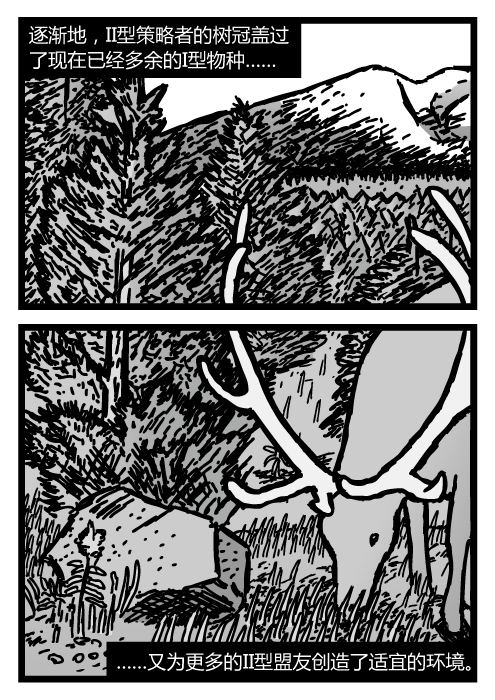 幼小松树的卡通。驼鹿吃草的图景。逐渐地，II型策略者的树冠盖过了现在已经多余的I型物种……又为更多的II型盟友创造了适宜的环境。
